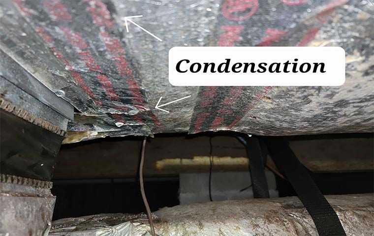 condensation damage in roof