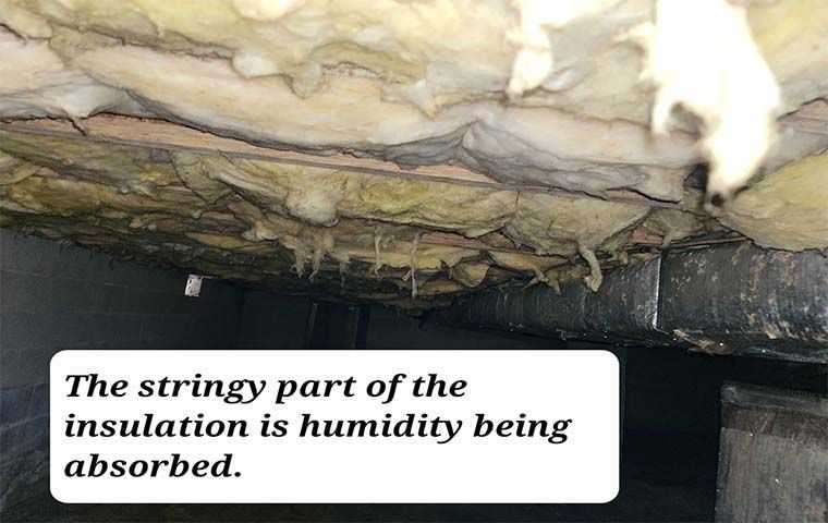 insulation with humidity damage