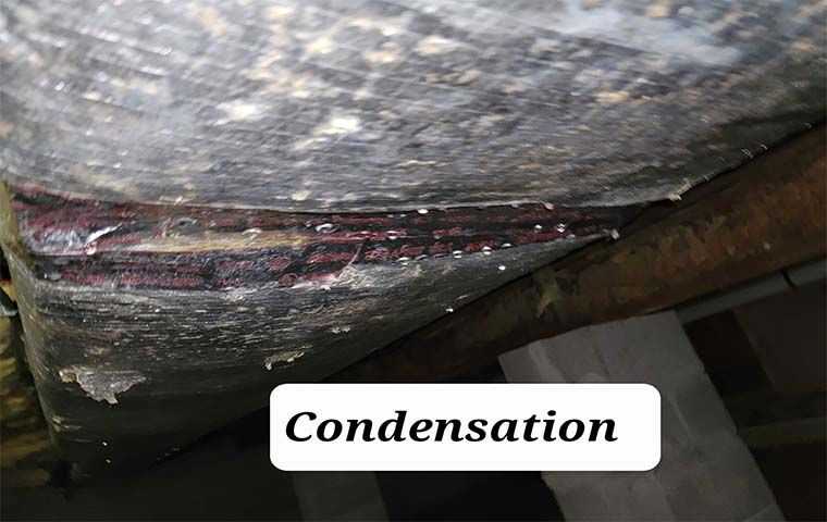 condensation damage in a roof