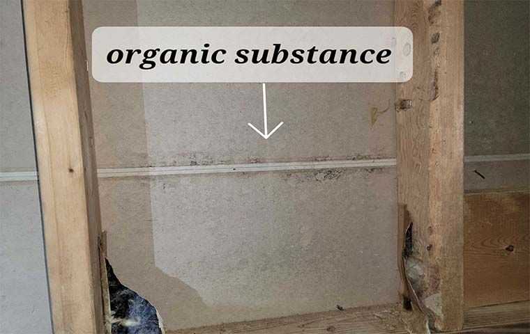Organic substance leaking into a roof
