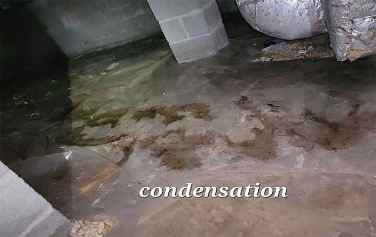 condensation on a roods floor