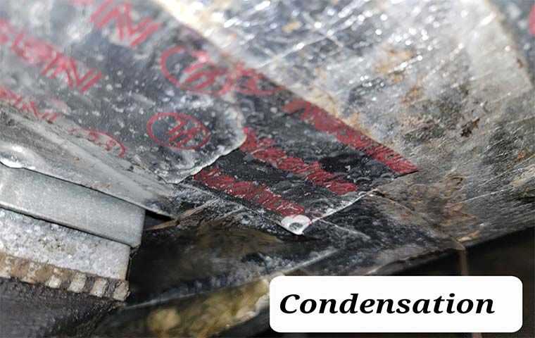 condensation damage close up