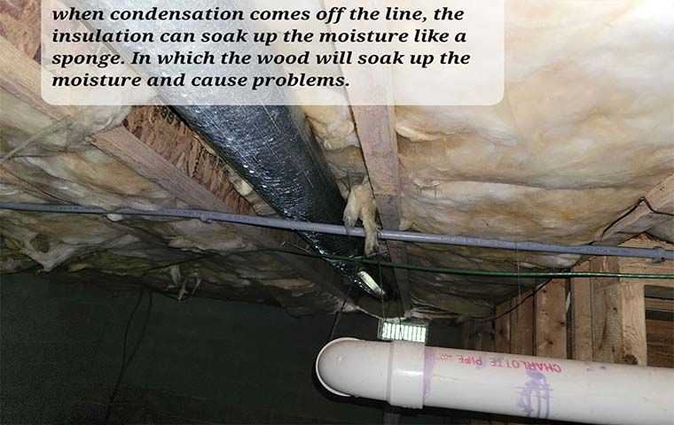 condensation coming of a pipe line into the roofs insulation
